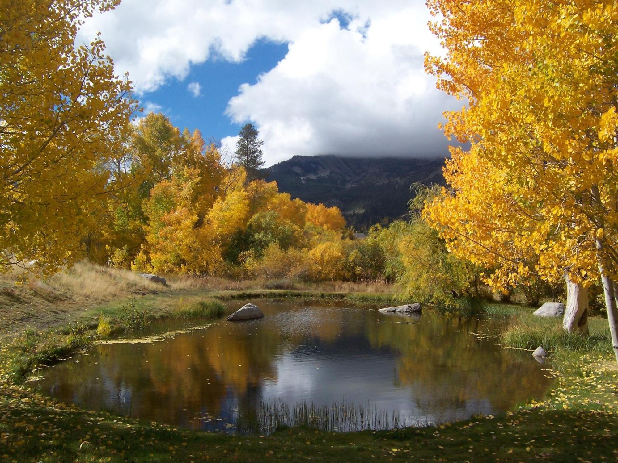 Snowcreek Resort Vacation Rentals Маммот Лейкс Экстерьер фото
